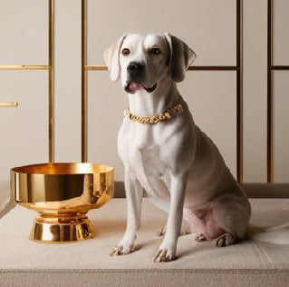 How to Train Your Puppy